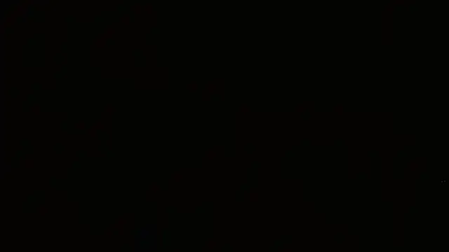 Agatha_browser webcam