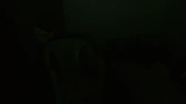Agatha_browser webcam