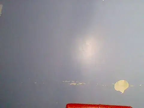 Chocolate-brownie webcam