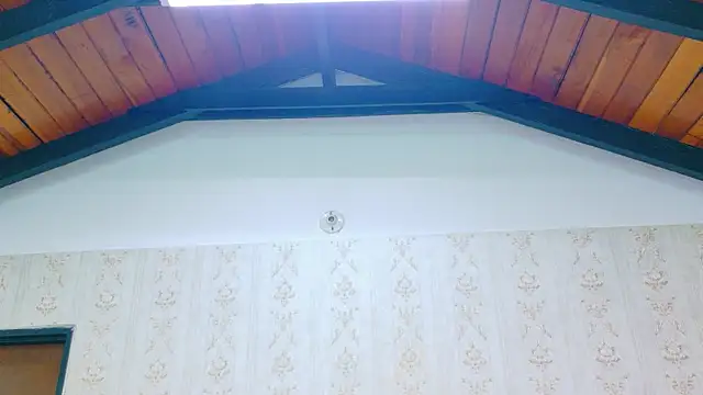 Kelly_Swift webcam