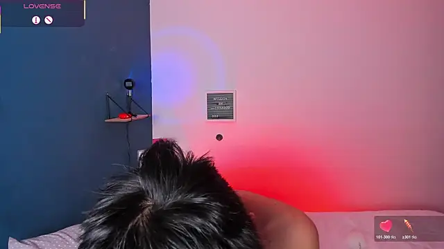 Dulcey- webcam