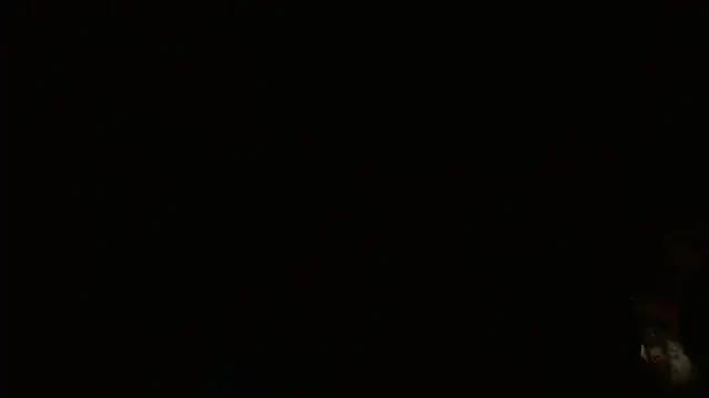 Agatha_browser live webcam