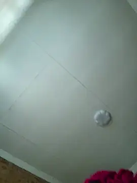 kylaniey live cam