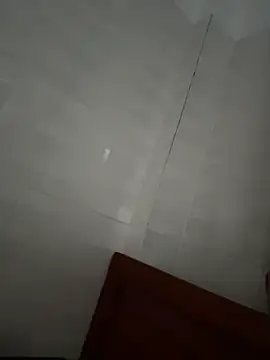 9Dragon9