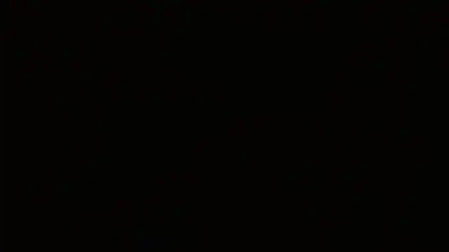 Agatha_browser webcam