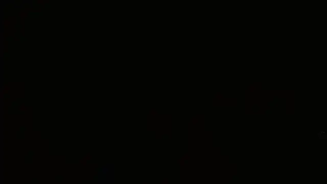 Agatha_browser webcam