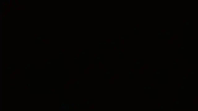 Agatha_browser webcam