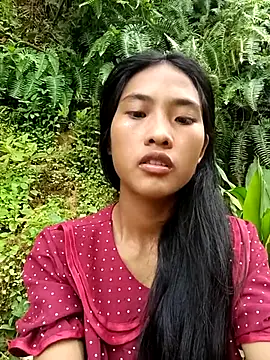Hoa-tuylip