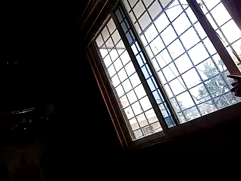 daddys_pen webcam
