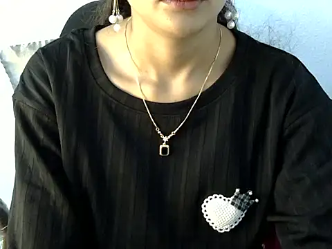 Mehaak_ webcam