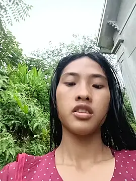 Hoa-tuylip