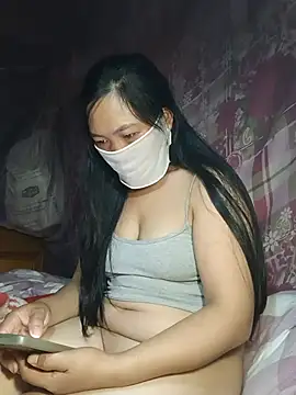 Hiha-nn webcam