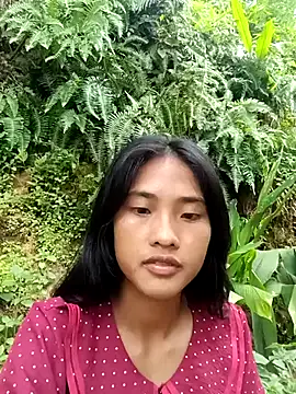 Hoa-tuylip