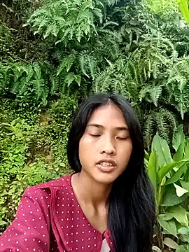 Hoa-tuylip