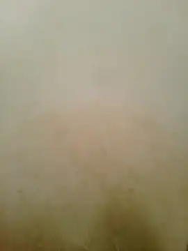sl_kella2003 live cam on StripChat