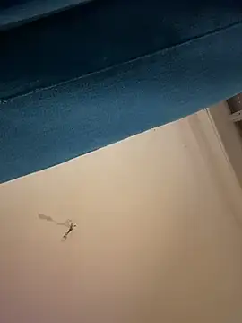 SashaLiciosa_ webcam