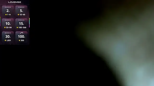 ErlinaBuoy webcam