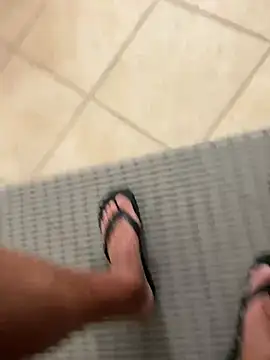 buodiculo