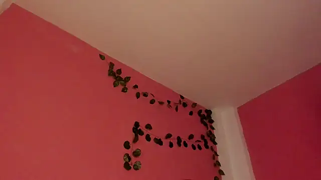 CLAIRE_EMPIRE webcam