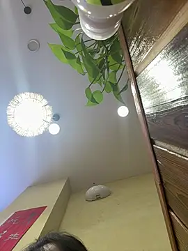 saofu520