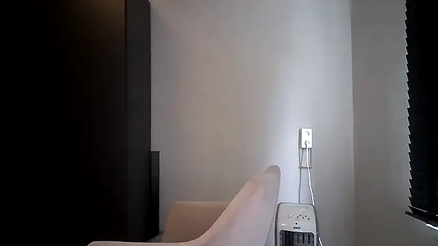 avajade webcam