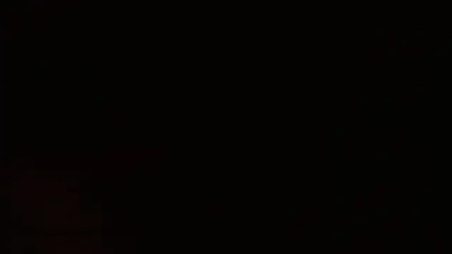 Agatha_browser webcam