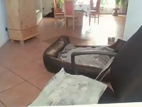 Nobbie444 webcam