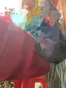 hoa_mai webcam