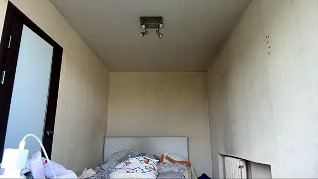 LianalimonLi webcam
