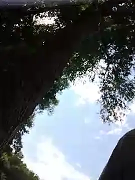 piepee webcam