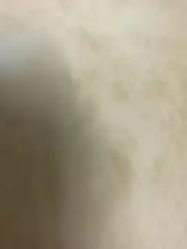 rentalboy29 (M young) - Make me nude and cum shot