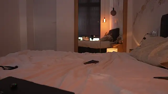ibiddi webcam