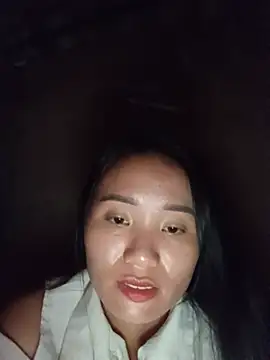 Td3di webcam