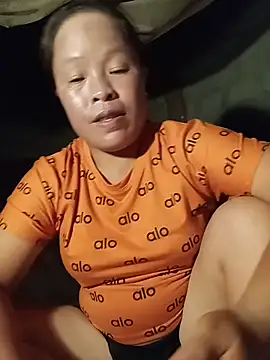 Ip34 webcam