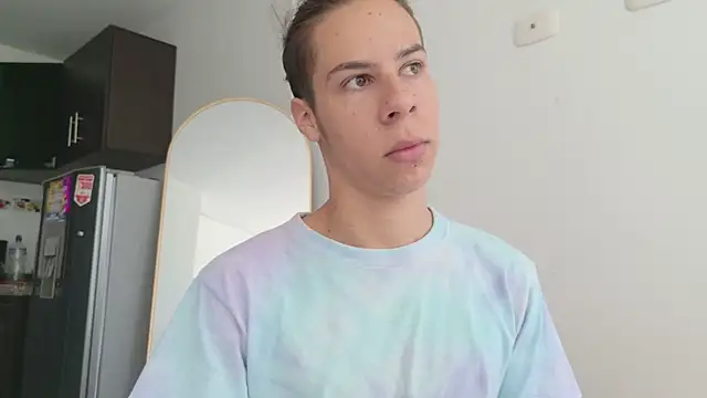 grey___27 webcam