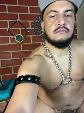 the_master_foal_ live cam on StripChat