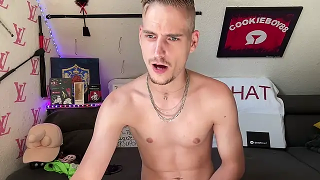 Cookieboy88 Live Webcam on Stripchat