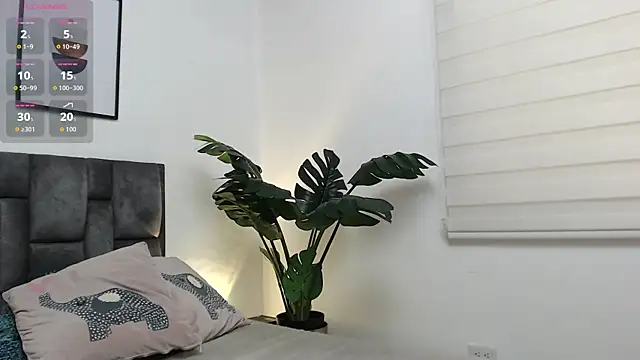 samy_l webcam