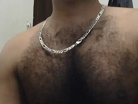 indianhairybull