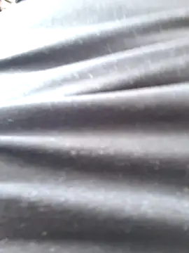 Cataleya_ja webcam
