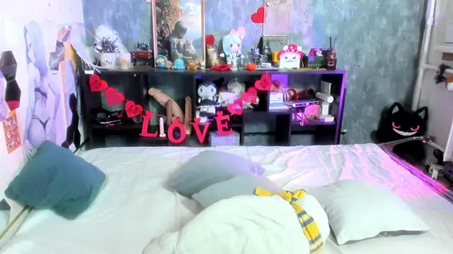 _provocatemur webcam