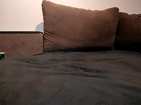 GIzly webcam