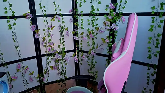 kitsune_little webcam
