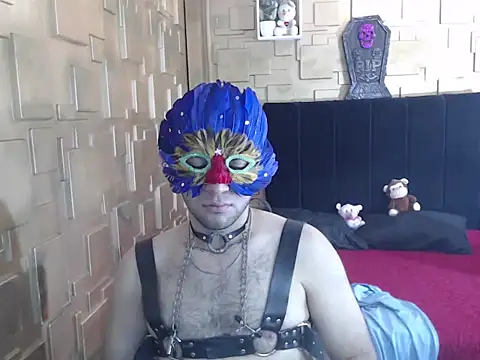 omar202612 webcam