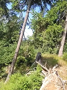 tangafun (Ask my age) - #bisexuals #brunettes #cam2cam #cheapest-privates #european #medium #mobile #outdoor #sex-toys #small-audience #smoking #swiss #white