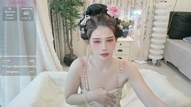 LIN-AN webcam