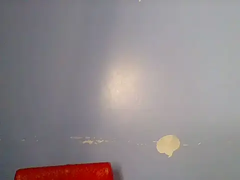 Chocolate-brownie webcam