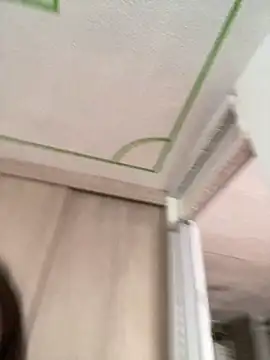 Abby-LS webcam