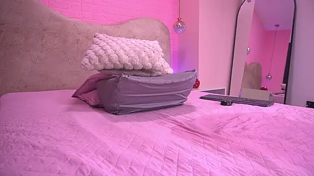sarakaisy webcam