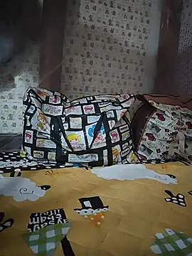 -Tara-a webcam